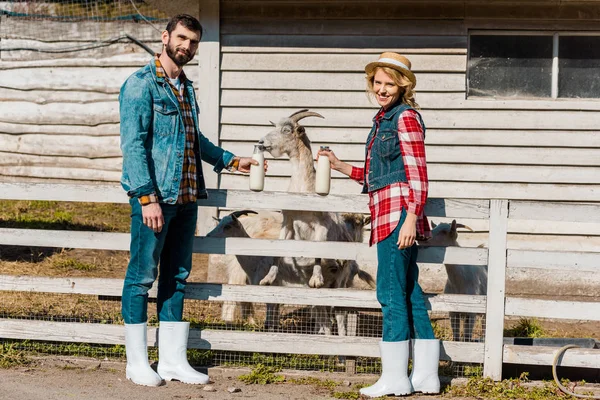 Adult couple of farmers showing bottles of milk while goats grazing near wooden fence at ranch — Stock Photo