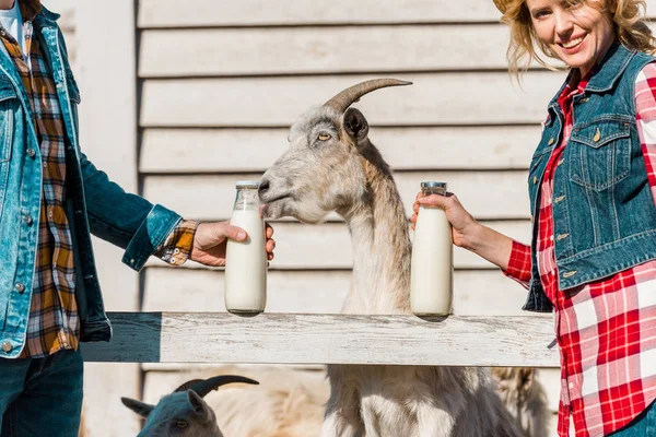 Cropped image of farmers showing bottles of milk while goats standing near wooden fence at ranch — Stock Photo
