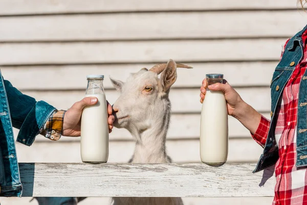 Vista parziale di agricoltori che mostrano bottiglie di vetro di latte mentre capra in piedi vicino alla recinzione di legno in azienda — Foto stock