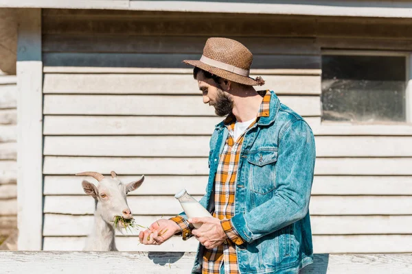 Вид сбоку на фермера мужского пола с бутылкой молока кормящего козла на траве возле деревянного забора на ферме — стоковое фото