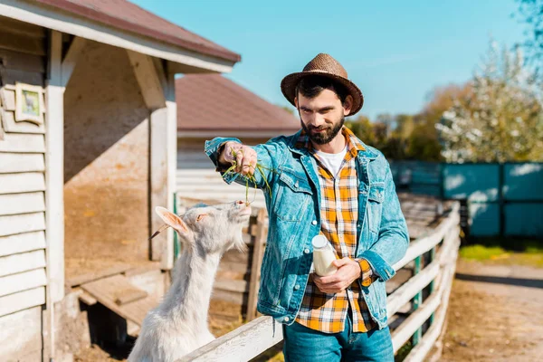 Fröhlicher Bauer mit Flasche Milch füttert Ziege im Gras in der Nähe von Holzzaun auf Bauernhof — Stockfoto