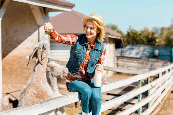 Happy female farmer with milk bottle sitting on wooden fence and feeding goats by grass at farm — Stock Photo