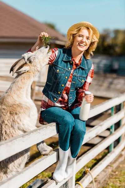 Cheerful female farmer with milk bottle sitting on wooden fence and feeding goat at ranch — Stock Photo