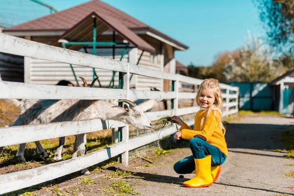 Glückliches kleines Kind füttert Ziegen durch Gras in der Nähe von Holzzaun auf einem Bauernhof — Stockfoto