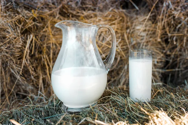 Enfoque selectivo de la jarra y el vaso con leche en las pilas de heno en la granja - foto de stock