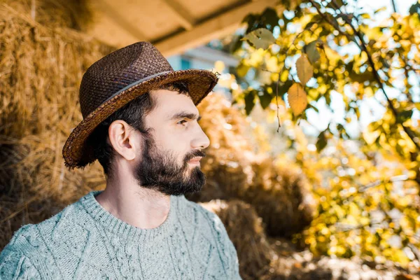 Vista lateral do agricultor masculino em suéter e chapéu de palha na fazenda — Fotografia de Stock