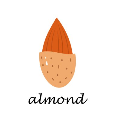 Çizgi film tarzında beyaz arkaplanda badem.