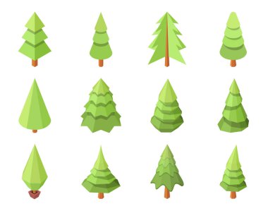 Beyaz arkaplanda izole edilmiş çokgen kozalaklılar kümesi.