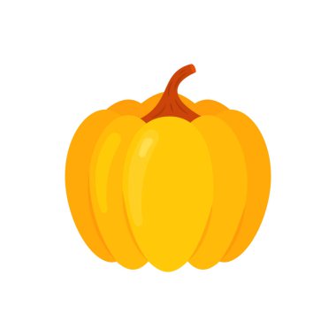 Beyaz arkaplanda kabak izole.