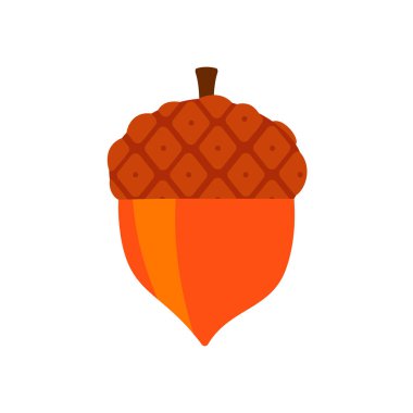 palamut beyaz arkaplanda izole.