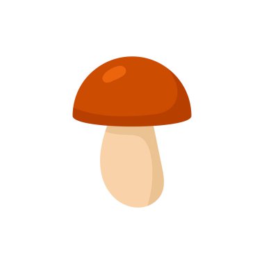 Beyaz arka planda izole edilmiş Boletus mantarı.