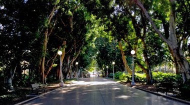 Hyde Park Sidney Avustralya