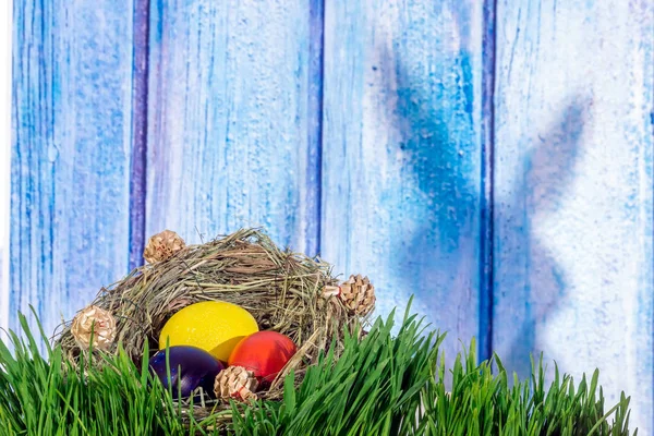青い白い木製の背景にウサギの影と草の中の草の巣に描かれたイースターエッグ — ストック写真