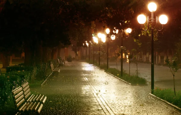 Night park lit by lanterns Royalty Free Stock Photos