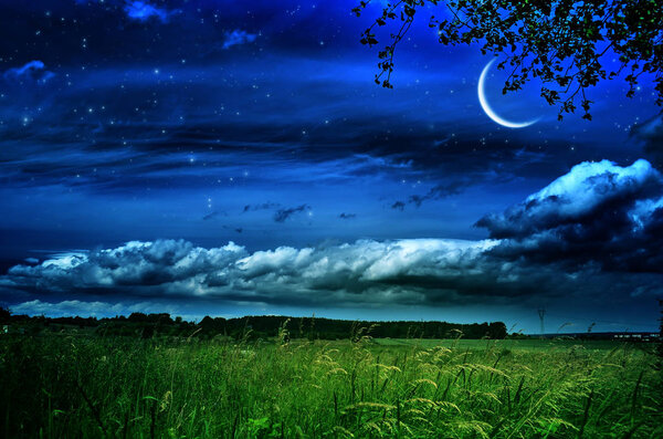 Night landscape with green fields on hills and moon, stars in sky over farmland