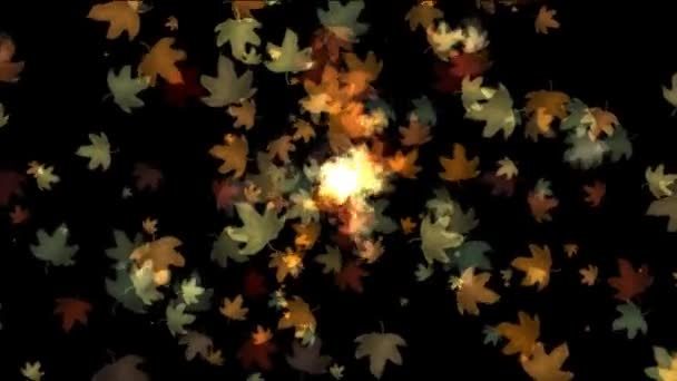 Folhas de outono se movendo no fundo preto — Vídeo de Stock
