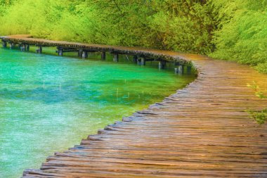 Plitvice Gölü 'ndeki orman ve turizm yolu Hırvatistan' ın ulusal parkını süslüyor.