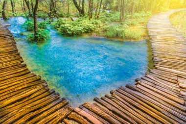 Plitvice göllerindeki derin orman ve turizm yolu Hırvatistan 'ın ulusal parkını süslüyor.