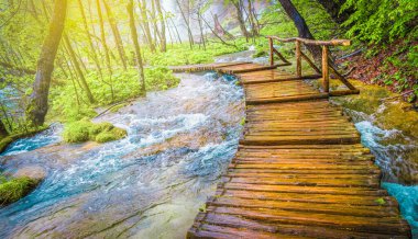 Hırvatistan 'ın Plitvice göllerindeki derin orman, çağlayanlar ve turizm yolu ulusal parkı.