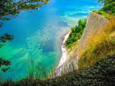 Top of the white cliffs Mons Klint in Denmark clipart