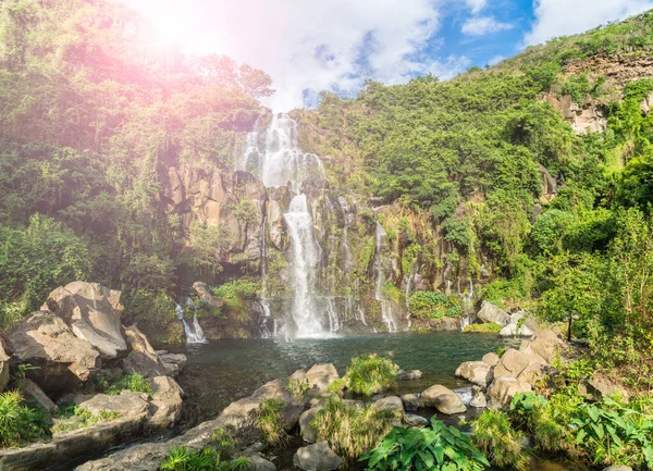 Les Bassins Des Cascades Aigrettes Cormoran Réunion — Photo