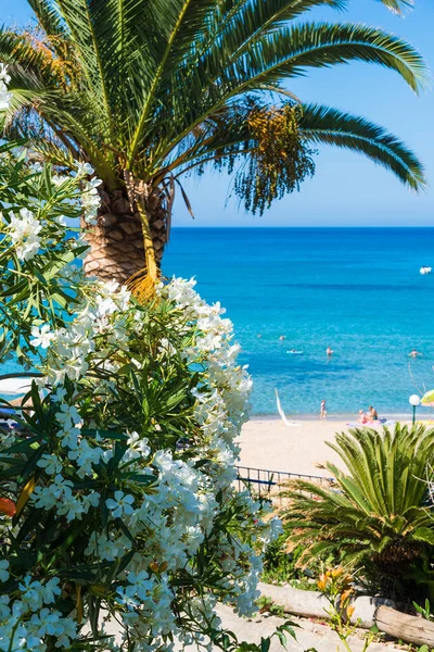 Paleokastritsa Baai Corfu Eiland Ionische Archipel Griekenland — Stockfoto