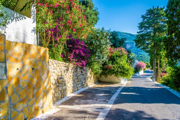 Straat Met Bloem Paleokastritsa Stad Corfu Eiland Griekenland — Stockfoto