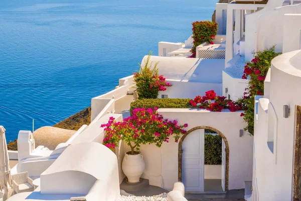 Traditional House Flower Oia Islands Santorini Greece — Stock Photo, Image