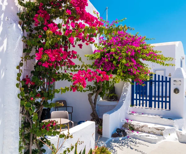 Casa Flor Tradicional Las Islas Oia Santorini Grecia —  Fotos de Stock