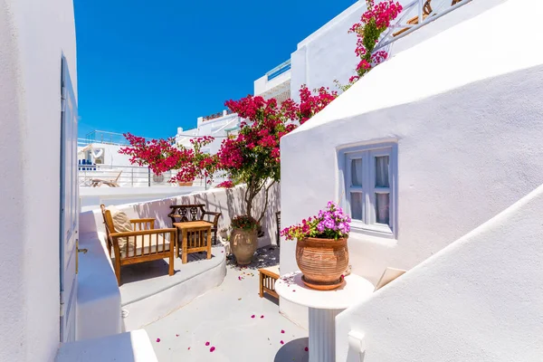 Traditionelles Haus Und Blumen Auf Den Inseln Oia Santorin Griechenland — Stockfoto