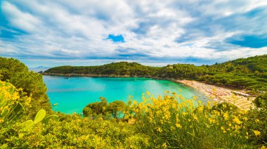 Fetovaia plajı, Elba Adası, Toskana, İtalya.