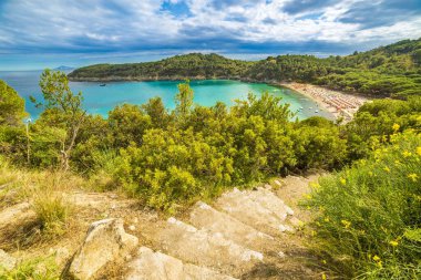 Fetovaia plajı, Elba Adası, Toskana, İtalya.
