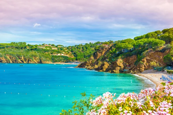 Vista Panorámica Playa Pareti Isla Elba Toscana Italia — Foto de Stock