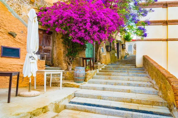 Elba Adası, Toskana, İtalya ve Avrupa 'da Capoliveri köyünün çiçekli caddesi.