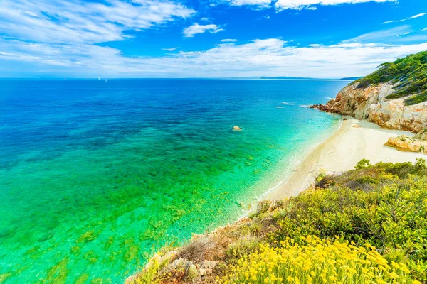 Panoramautsikt Över Stranden Sansone Elba Island Toscana Italien — Stockfoto