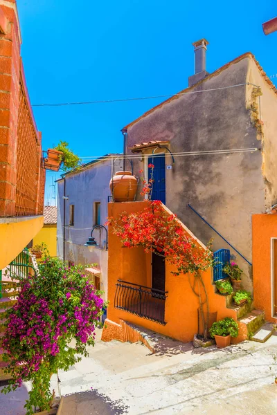 Casa Com Flor Capoliveri Aldeia Elba Ilha Toscana Itália Europa — Fotografia de Stock