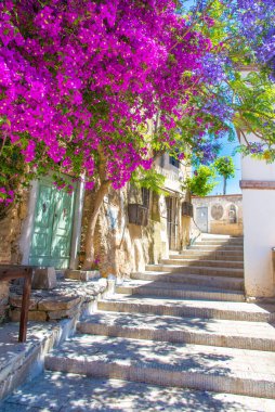 Elba Adası, Toskana, İtalya ve Avrupa 'da Capoliveri köyünün çiçekli caddesi.