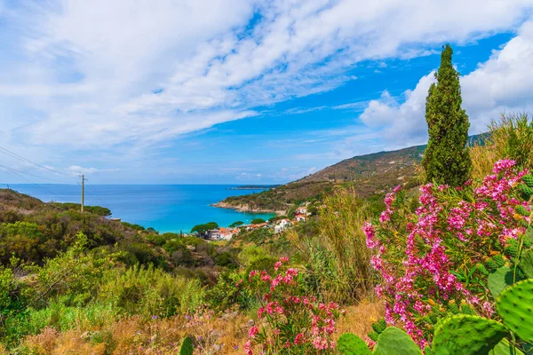 Uitzicht Het Strand Van Cavoli Eiland Elba Toscane Italië — Stockfoto