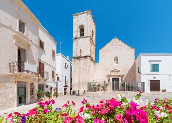 Centrální Náměstí Matriarchální Kostel Chiesa Matrice Polignano Mare Apulia Itálie — Stock fotografie