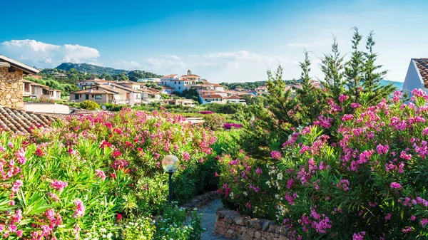 Porto Cervo Paese Sull Isola Sardegna — Foto Stock