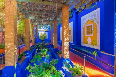 Le Jardin Majorelle, Marakeş, Fas 'taki inanılmaz tropikal bahçe..