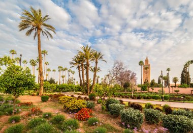 Bahçeli manzara ve Marakeş, Fas 'taki Koutoubia Camii