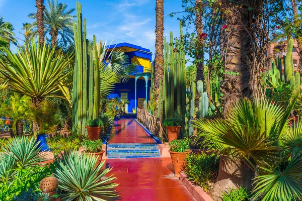 Jardin Majorelle Erstaunlicher Tropischer Garten Marrakesch Marokko — Stockfoto