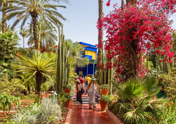 Jardin Majorelle Marrakech Maroko Dubna 2019 Jardin Majorelle Úžasná Tropická — Stock fotografie