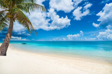 Mauritius adasının muhteşem plajları olan tropikal bir manzara.