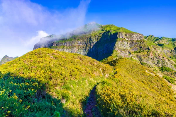 Pico Grande Isla Madeira Portugal — Foto de Stock
