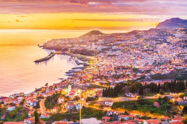 Panoramic view over Funchal, Madeira island, Portugal clipart