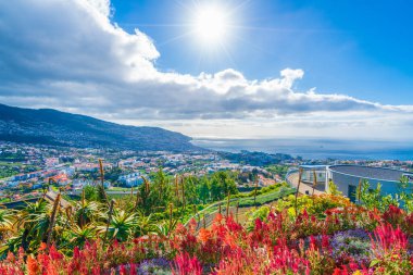Panoramic view over Funchal, from Pico dos Barcelos viewpoint clipart