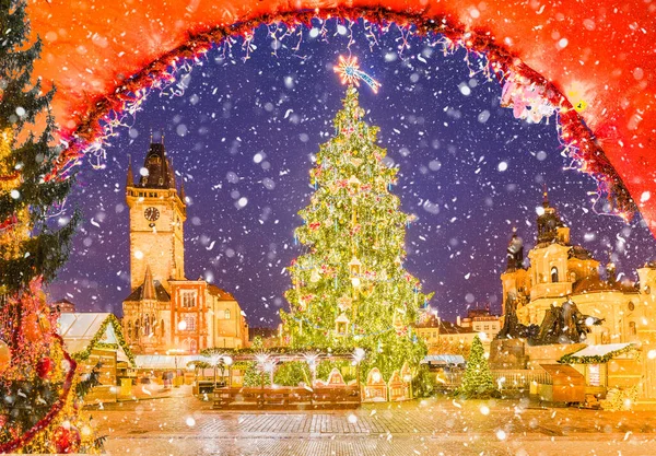 捷克共和国布拉格这个神奇的城市的圣诞树 — 图库照片