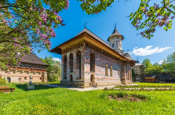 Moldovita Monasterio Iglesia Pintada Ortodoxa Moldavia Bucovina Rumania — Foto de Stock
